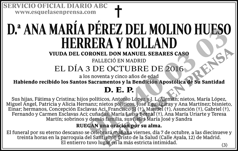 Ana María Pérez del Molino Hueso Herrera y Rolland